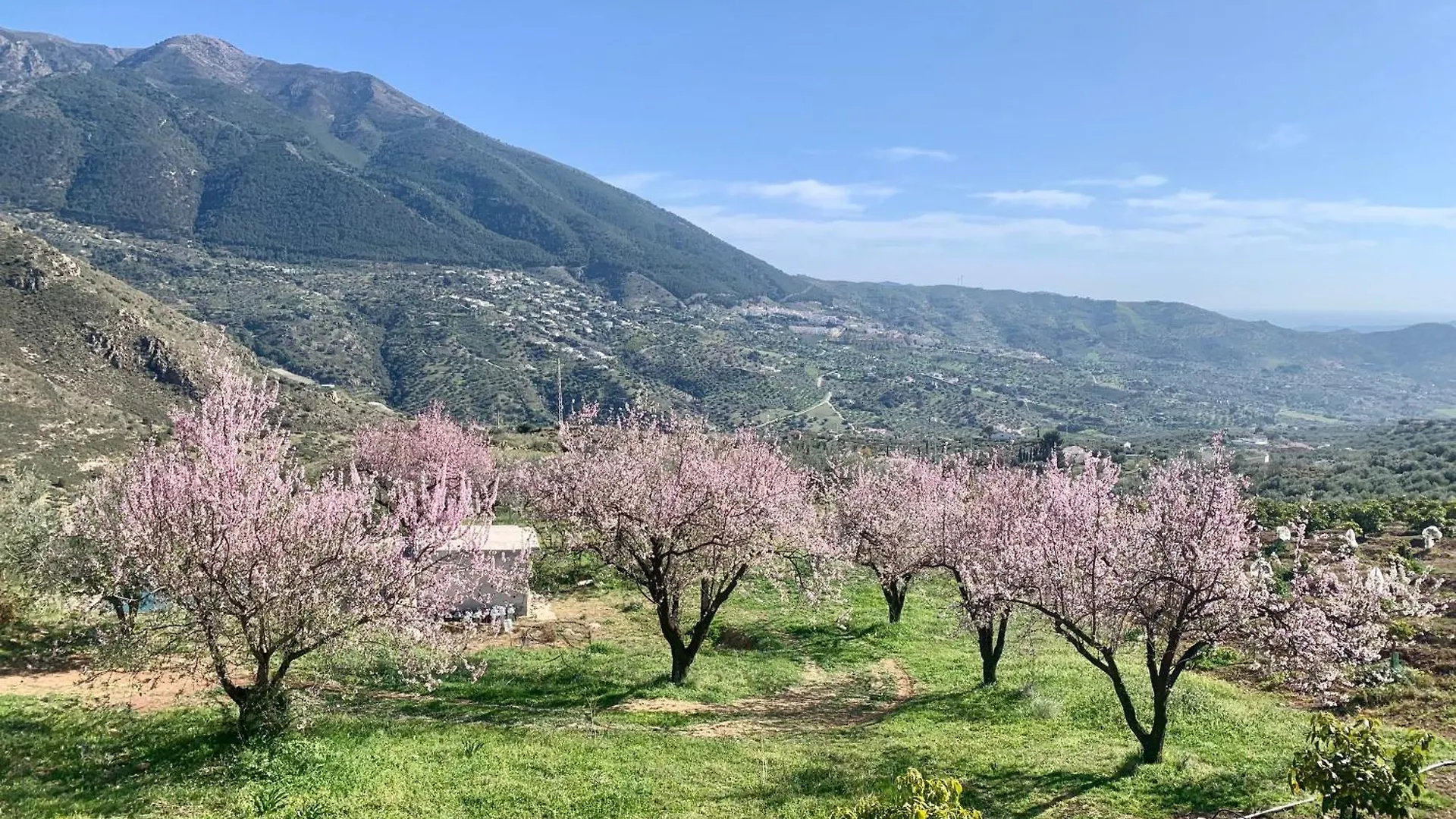 3 Bedroom Holiday Home Alcaucin With Private Pool And Mountain View
